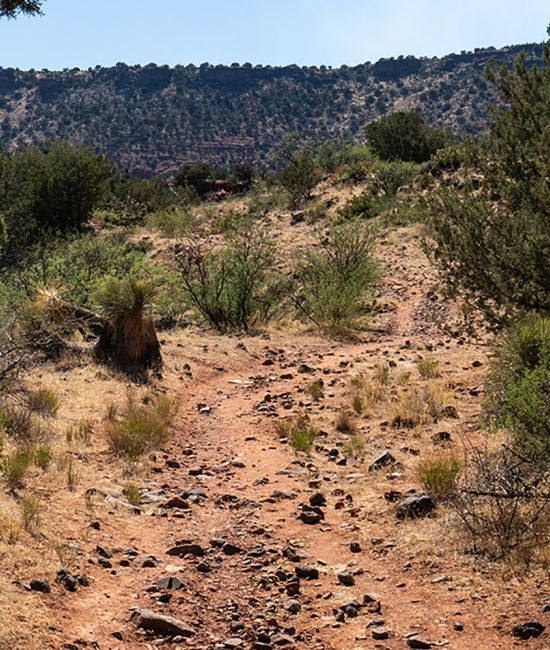 Woods Canyon Trail