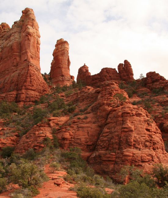 Scenic Horseback Rides