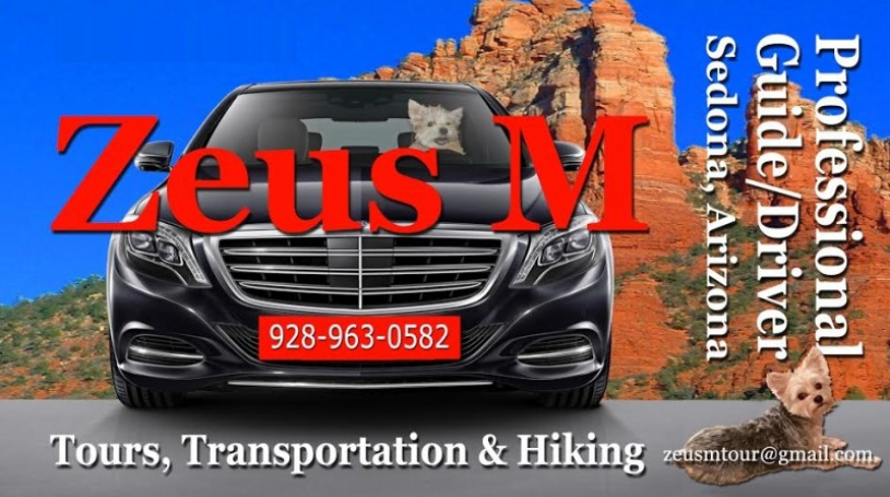 

			
				Zeus M Tours
			
			
	